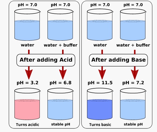 type of buffer HPLC